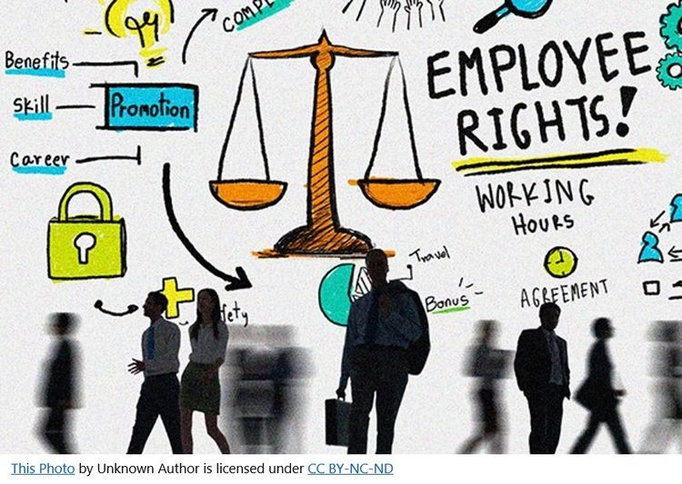 Employment and Labour Law